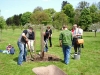 4 gespendete Apfelbäume der Sorte \"Kartäuser\" wurden fachgerecht gepflanzt [Foto: Dr. E. Handke]